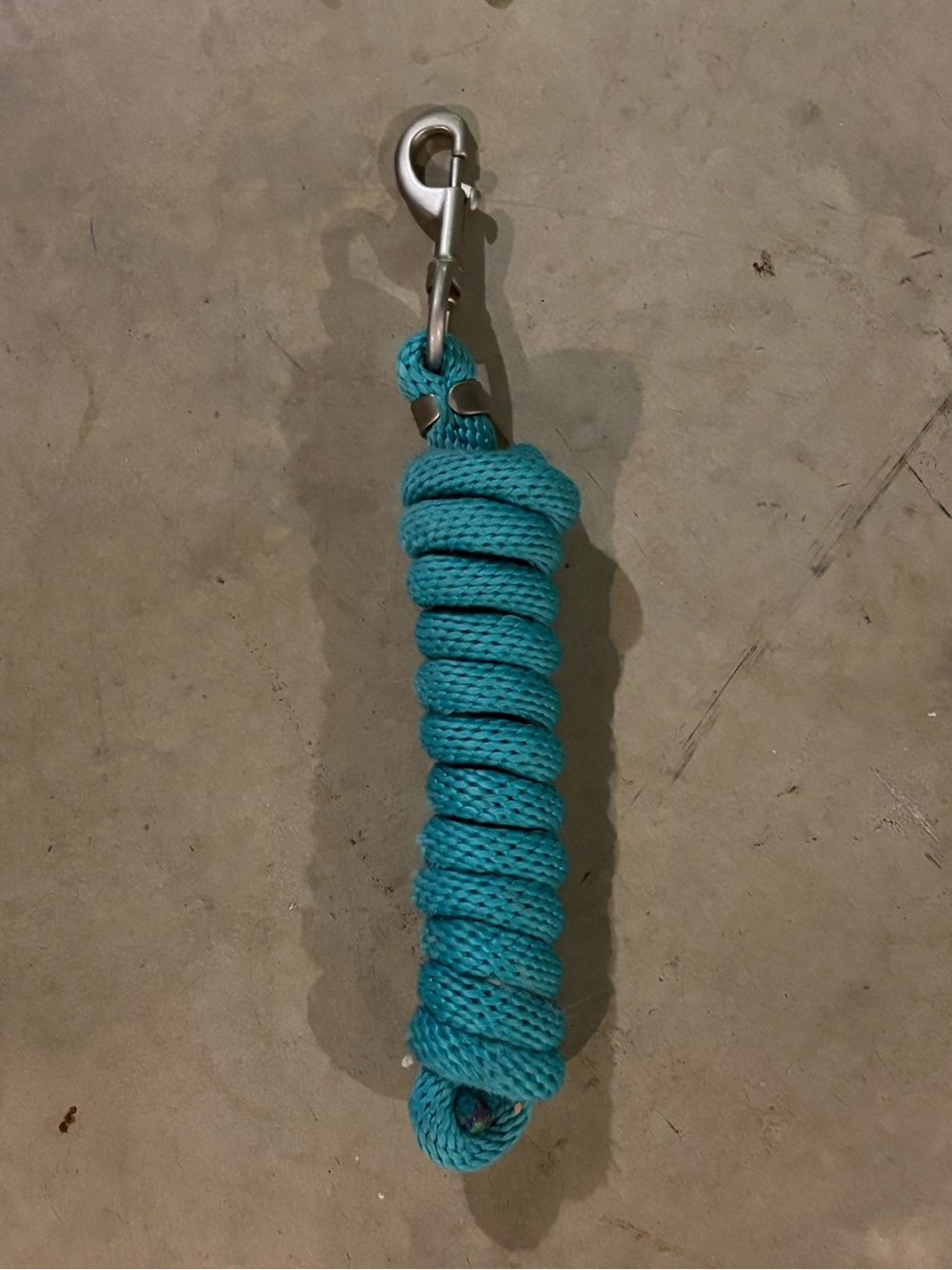 Weaver 8’ Lead Rope - Turquoise